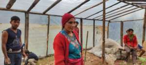 Teaching women to grow seeds inside the greenhouse