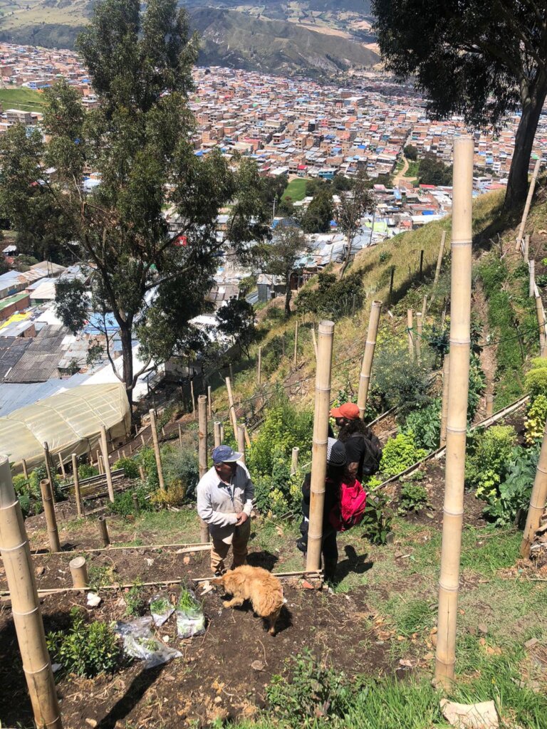 Bogota Food Aid For communities of vulnerable area