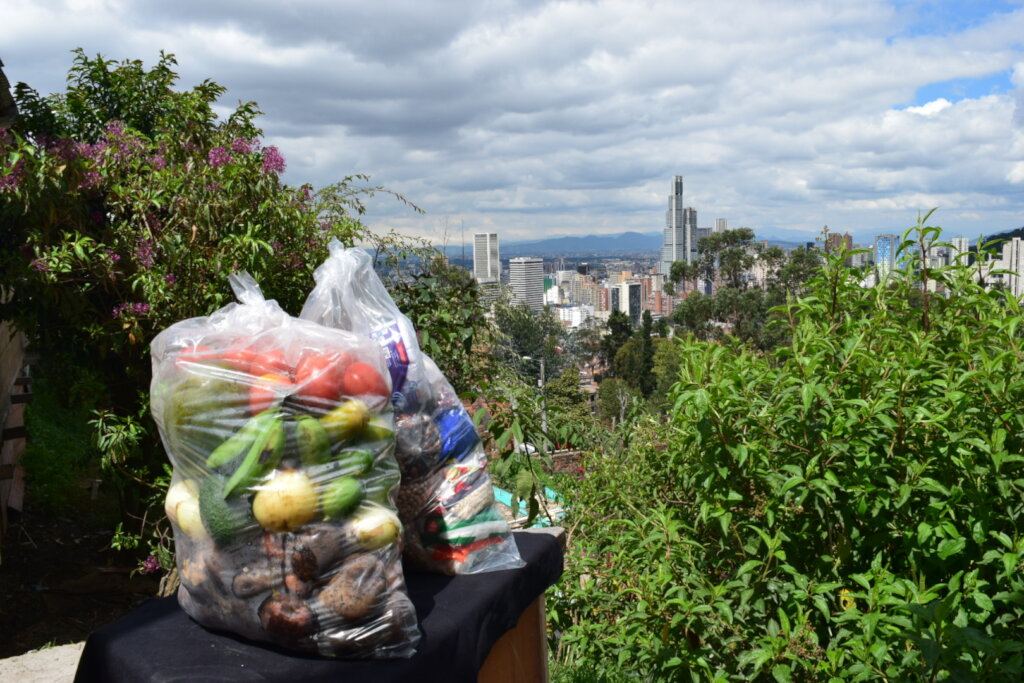 Food Aid for Vulnerable Communities in Bogota