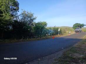 maintenance of planted areas