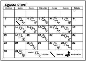 August 2020 Working schedule