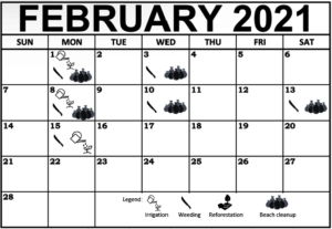 February 2021 Work shedule