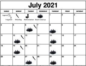 July 2021 Working schedule
