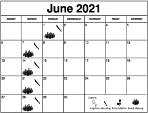 June 2021 Working schedule