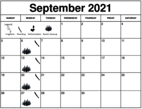 September 2021 Working schedule