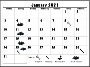 January 2021 Working schedule