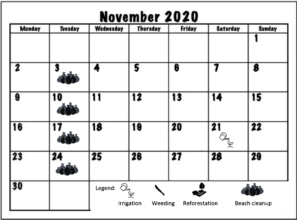 November 2020 Working schedule