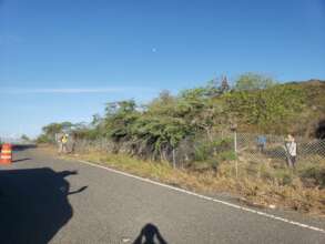 PDC team weeding around the planted trees