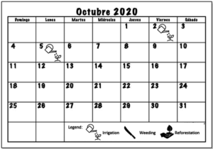 October 2020 Working schedule