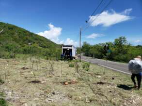 PDC team working on the newly planted areas