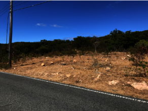 Planted area cleaned up- wildland fire prevention