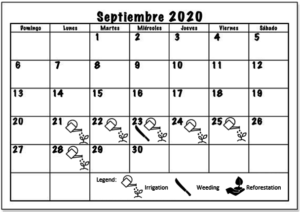 September 2020 Working schedule