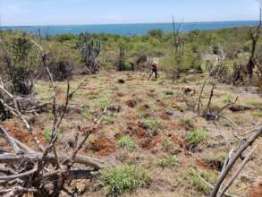PDC team preparing the soil for tree planting