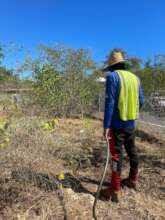 PDC team providing maintenance of planted trees