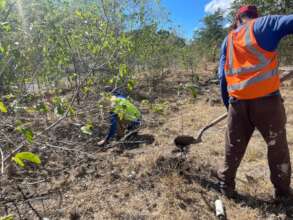 PDC team preparing the soil for tree planting