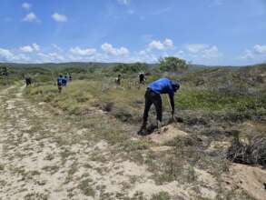 Guanica reforestation