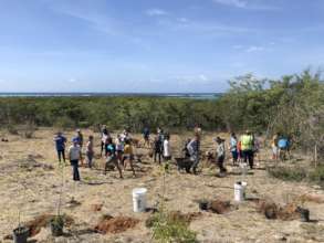 Reforestation with community members & volunteers