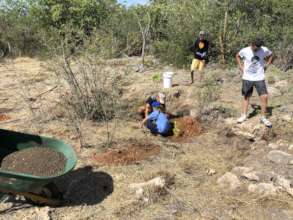 Volunteers participating in reforestation