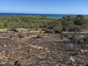 Forest impacted by wildland fires