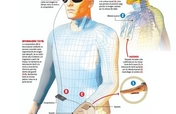 Human Artificial Vision. Prosthesis for the blind.