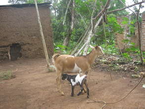 A Home of an HIV positive woman