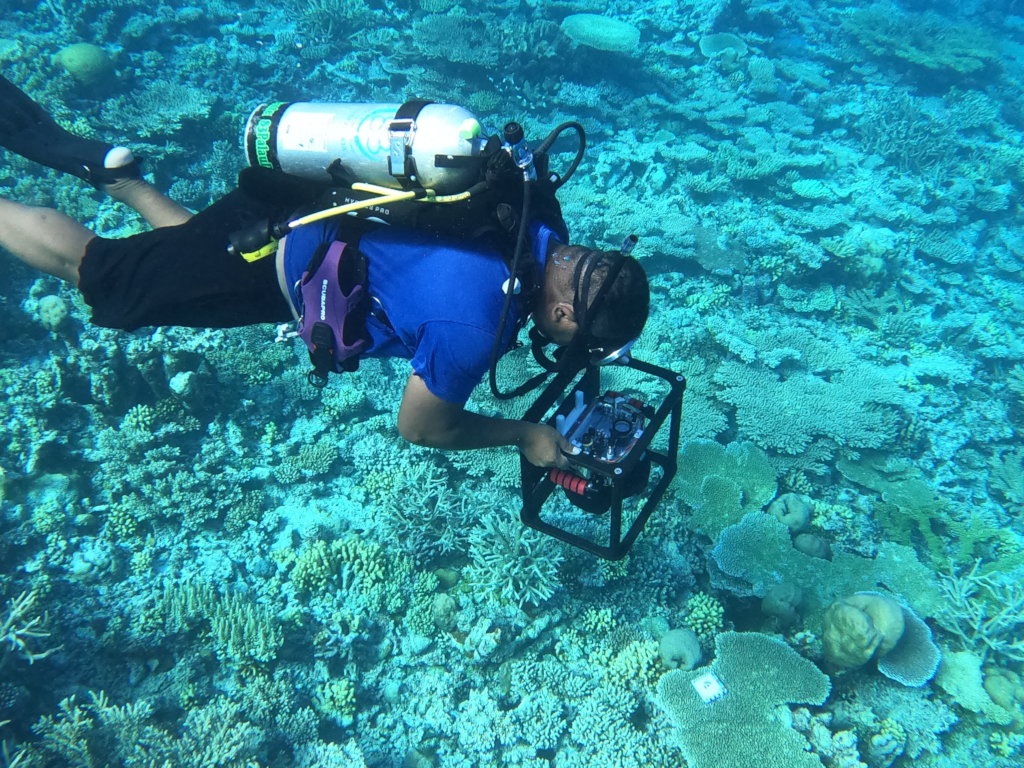 Boost Reef Health and food security in Palau