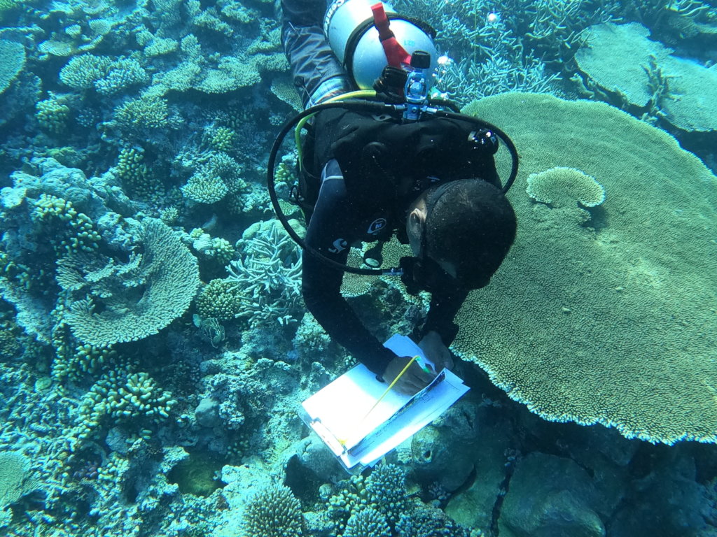 Boost Reef Health and food security in Palau