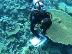 Recording observations underwater