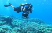 Boost Reef Health and food security in Palau