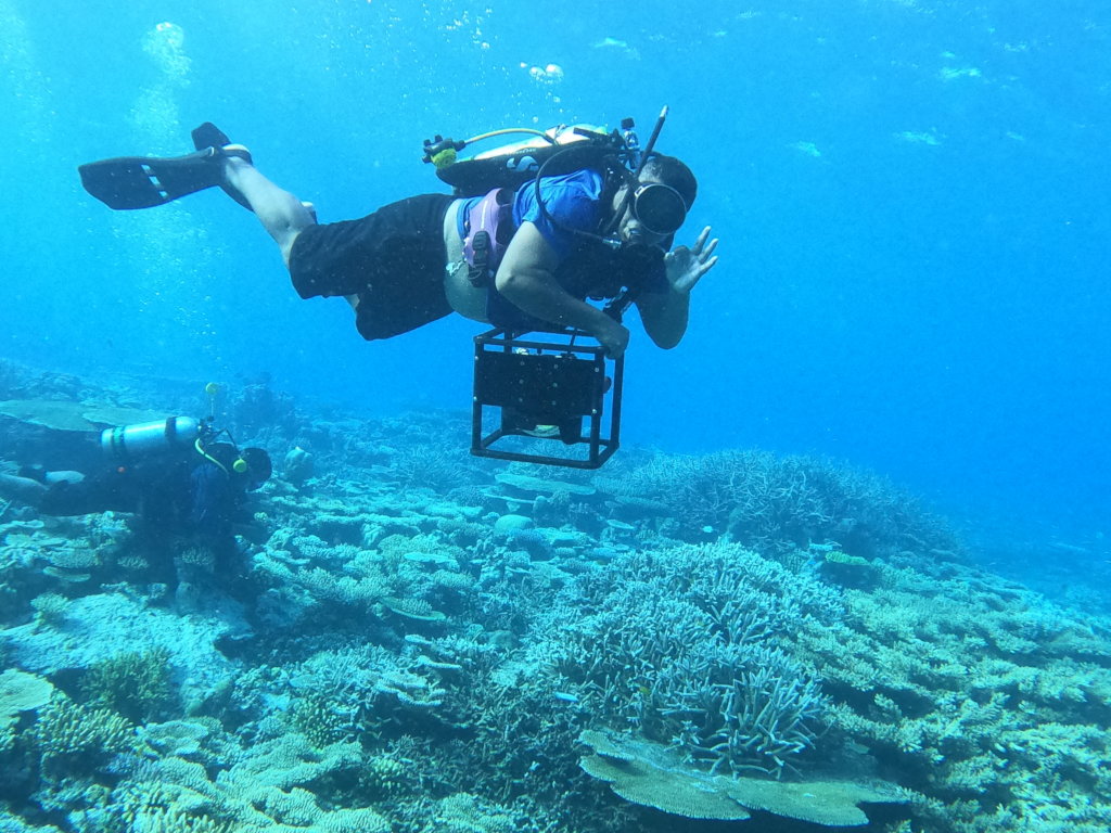 Boost Reef Health and food security in Palau