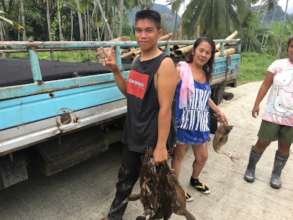 Distributing food supply