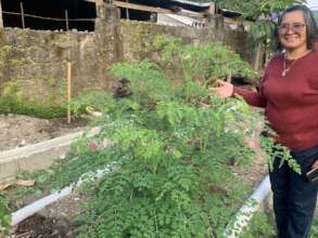 Moringa promotion