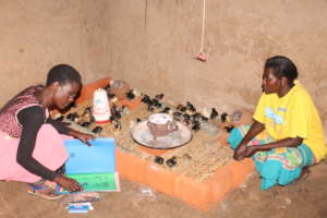 BUWEF Volunteer inspecting a member at her pen