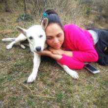We Can't Help Animals Without People