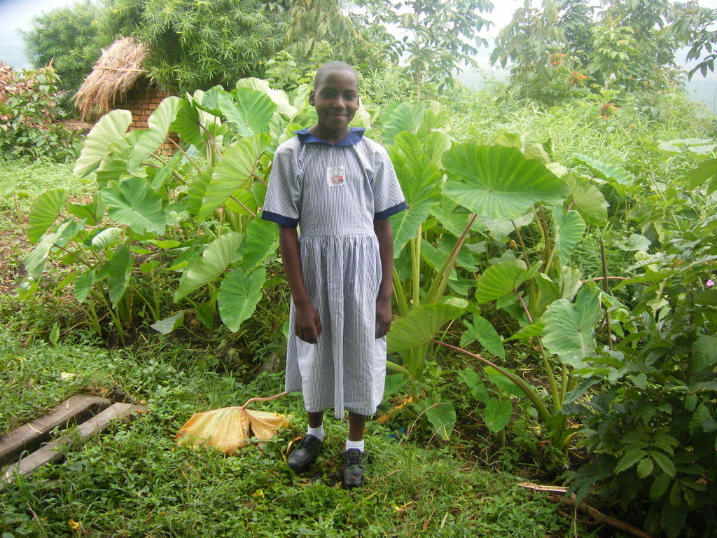 Girl Child Education Support Initiative