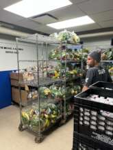 Fresh produce at our Manhattan Choice Pantry