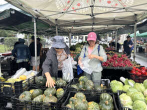 SNAP education at Greenmarket