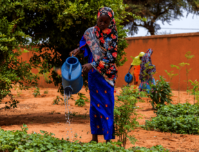 Ashraf, 11, waters plants in her school garden