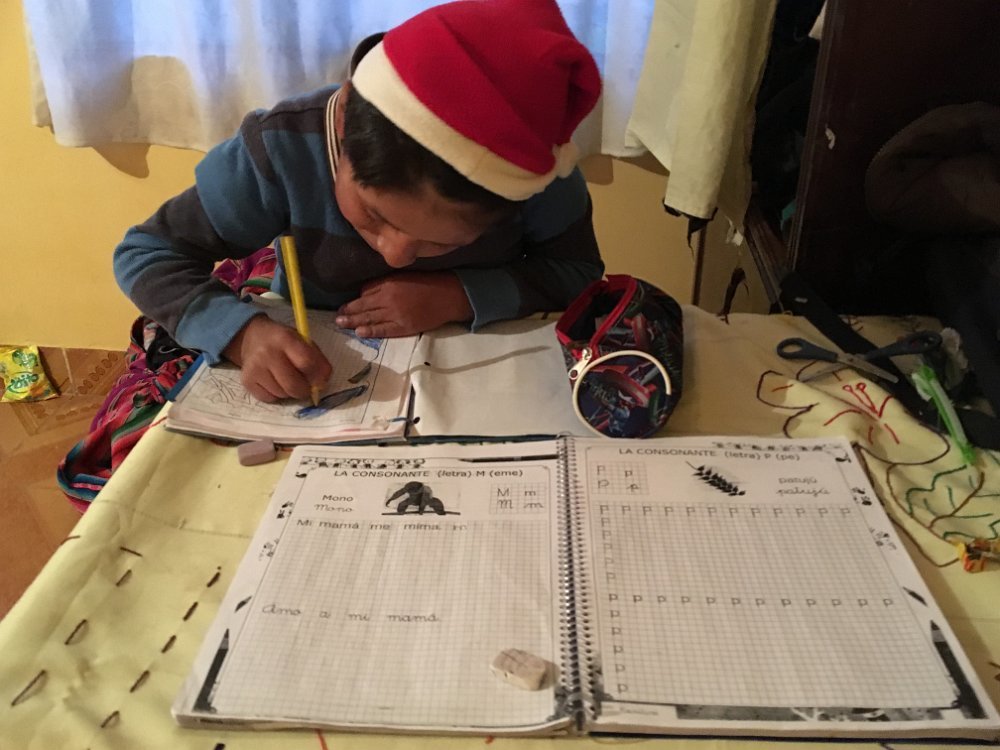 Provide remote learning during COVID-19 crisis