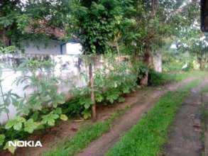 Sustainable Gardens for the local community