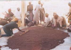 Timara Tama Rural Women's Group