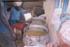 Processing Shea Butter for Income