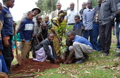 Community tree planting project in Mount Kenya