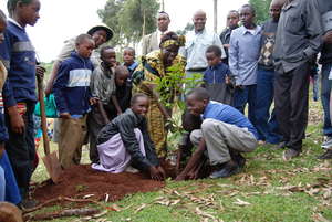 Community tree planting project in Mount Kenya