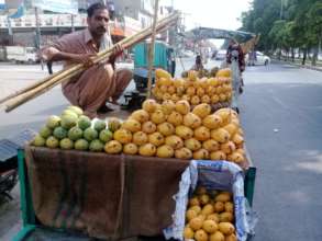 cart with fruits give to daily wager for income
