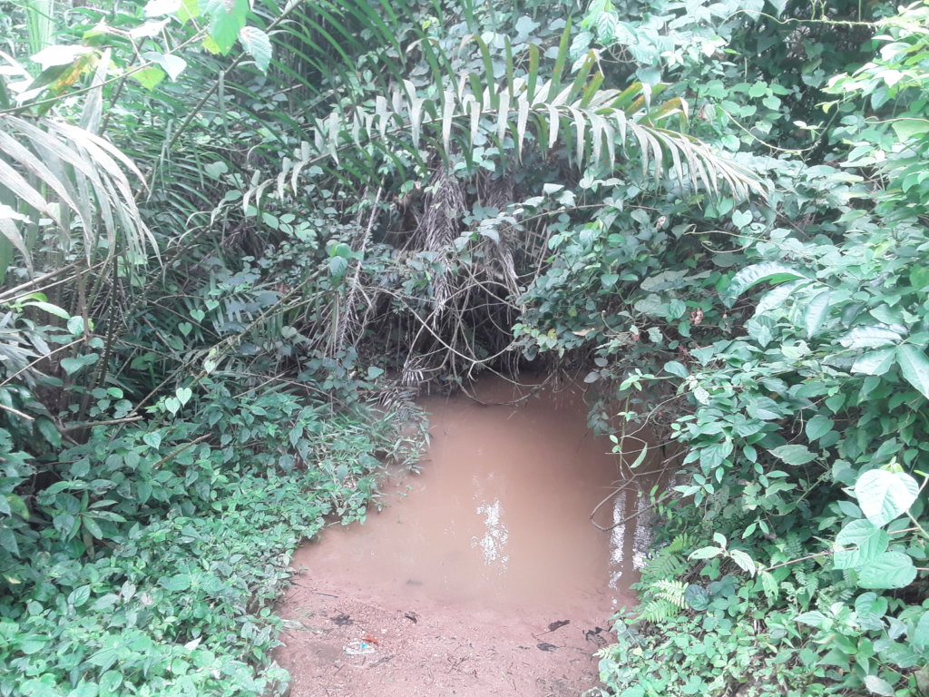 GIFT CLEAN WATER, HELP THE POOR VILLAGERS
