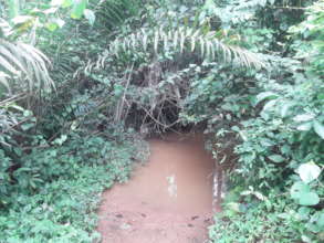 The villagers only source of water.