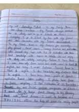 Aaradyas essay