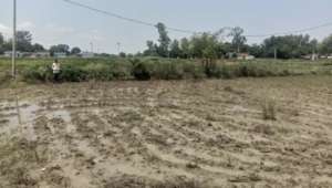 Our additional land for school project