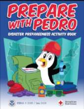 Prepare with Pedro activity book